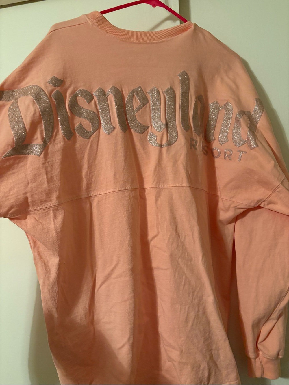 Disneyland spirit jersey